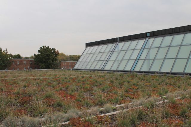 Regen park Aquatic Centre, Toronto - posle 6 meseci