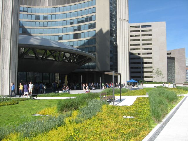 Krovni vrt City Hall, Toronto