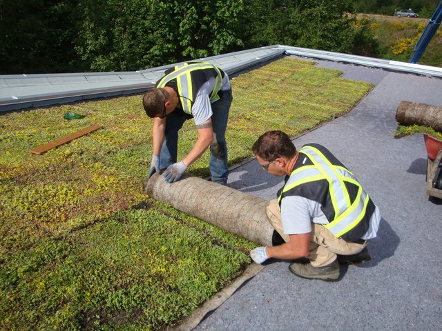 Instalacija zelenog tepiha (Xeroflora)